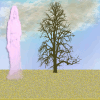 manycolors's Avatar