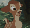 Shy_Bambi's Avatar